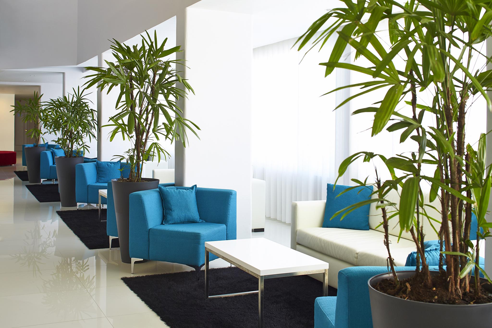 Luna Miramar Club Albufeira Dış mekan fotoğraf